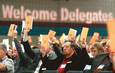 Delegates voting